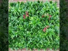 2025 Новый поставщик стенной травы Тайшань