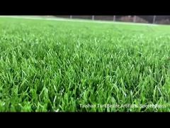 Тайшань новый проект Белиз Искусственный спортивный газон