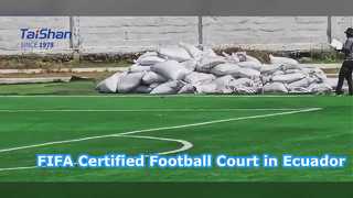 Недавно установленное футбольное поле, сертифицированное FIFA, на Галапагосских островах в Эквадоре